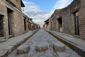 Visite privée d'une journée complète à Pompéi, Herculanum et Oplontis