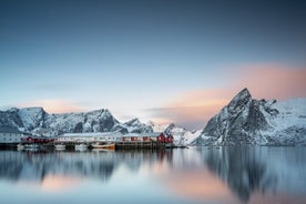 2-dages vintersightseeing og fotografi i Lofoten