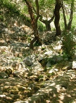 Castalian Spring