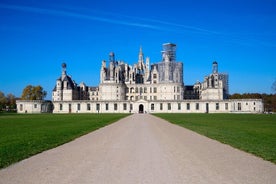 Loire-vallei Chambord Castle & Da Vinci Castle - Dagtrip vanuit Parijs