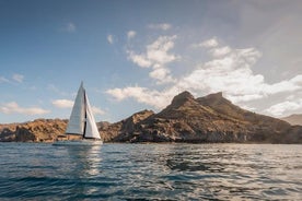 Passeio de barco e mergulho com snorkel em Puerto de Mogan