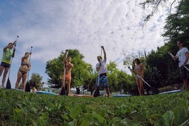 Stand up paddle course on the Slovenian coast