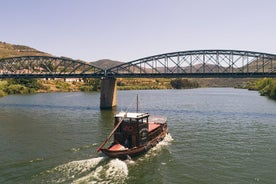 Douro Valley: 1h Rabelo Boat Tour with Audio Guide Included