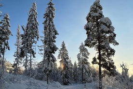 Top of Oslo/Sterrenlicht-avondsneeuwschoentocht(en)