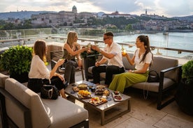 Budapest Fireworks Installation Experience with Dinner