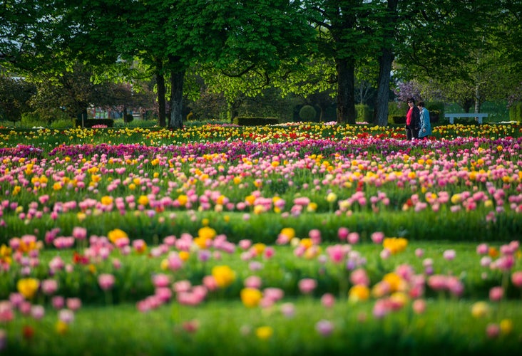 Arboretum Volcji Potokin in Ljubljana.jpg