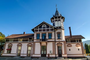 Vatra Dornei - city in Romania