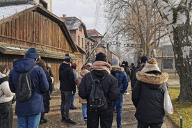 Auschwitz Birkenau Self-Guided & Guided Tour from Krakow