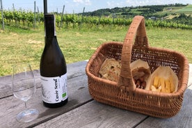 Wieliczka Vineyard: 현지 스낵과 함께 와인 시음