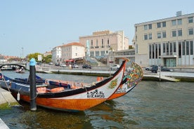 Moliceiro Boat Tour in Aveiro