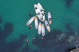 Monster SUP e tour a Newquay