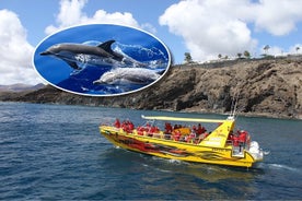 Mini Crucero de Delfines desde Lanzarote