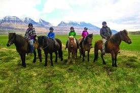 Skagafjörðurでの家族向け乗馬ツアー