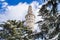 photo of Beyazıt Tower in Istanbul University that used as Ancient Medieval Fire Tower during The Ottoman Empire. Beyazıt tower rising through the snowy trees.