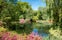 Photo of beautiful flower garden and a small pond in the spring season in Richmond Park, London, England.