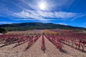 Tour enologico privato alle cantine della Costa Blanca