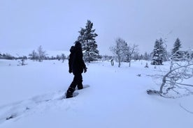 Private Snowshoeing tour in National Park