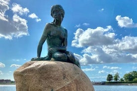 Full Day Private Walking Tour in Copenhagen