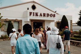 Dégustation de vin et visite d'une cave à Fikardos Winery