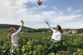 Hel dag fra Dijon: det meste av Burgund med lunsj