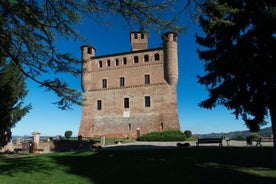 Bilhete de entrada Museo delle Langhe