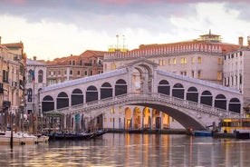 Full day luxury trip to Venice with private car and driver from Milan