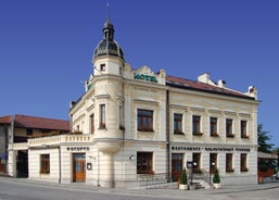 Hotel Jelínkova Vila