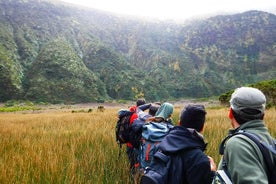 Nedstigning til Caldeira do Faial - Det perfekte eventyr