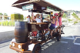 Shared Valencia Beer Bike Tour