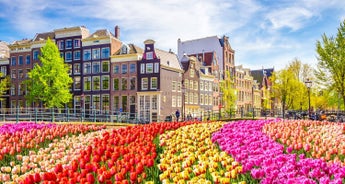 Brussels & Holland & Belgium in Bloom