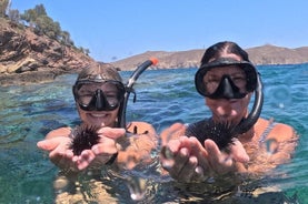 Aventura privada de snorkel guiada de 1 hora con Go Pro Pictures 