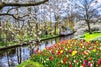 Keukenhof travel guide