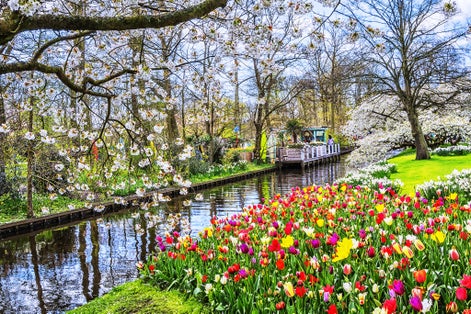 Photo of Keukenhof park of flowers and tulips in the Netherlands.
