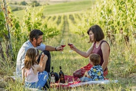 Picnic in the Organic Vineyards of Brunello