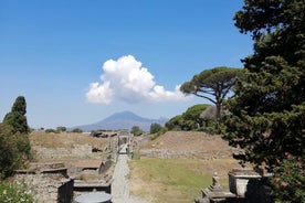 Skip-the-Line Pompeii & Volcano Vesuvius Day Tour w Hotel or Port Pickup