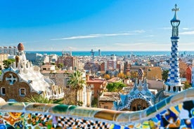 Park Guell and Sagrada Familia Private Tour with Hotel pick-up