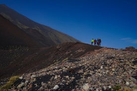 Etna natur och smaker halvdagstur från Catania