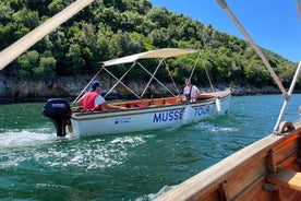 Excursão de barco a mexilhão com degustação de comida e bebida na Albânia