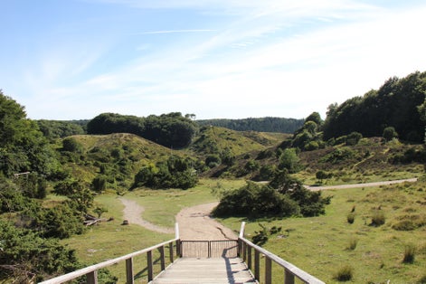 Photo of Rebild bakker national park in Denmark.