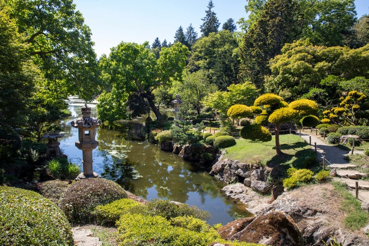 Garden of the Parc Oriental de Maulévrier in summer