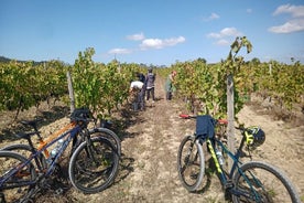 Hjólreiðar Vineyards of Bairrada Route, heilan dag frá Coimbra