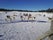 Kopara Reindeer Park, Pelkosenniemi, Itä-Lapin seutukunta, Lapland, Mainland Finland, Finland