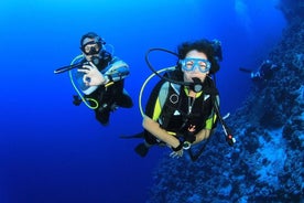 Plongée sous-marine pour les débutants à Marmaris et Icmeler