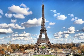 Paris Half-Day City Tour med en privat driver