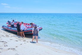 Transporte de ida y vuelta desde Setúbal a la isla de Cabeços.