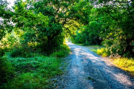 PHOTO OF beautiful white road through a lush forest near the Pieve di Santo Stefano on the Pilgrim of San Francesco in Arezzo Tuscany Italy