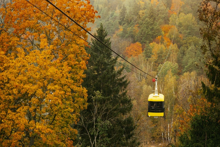 Cablecar Sigulda and Thick colourful forest in autumn season in Gauja National Park, Sigulda, Latvia.