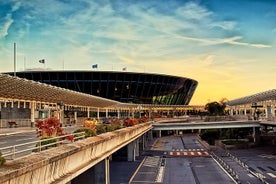 Trasferimento privato alla partenza all'aeroporto di Nizza da Cannes, Monaco o Eze