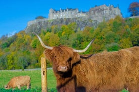 Excursão diurna para o Castelo de Stirling, o Parque Nacional Trossachs e o Lago Lomond saindo de Edimburgo