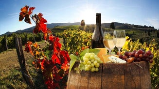 Relaxing Wine Tour With Food & Wine Tasting - Umbria